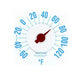 Electronic Optix Thermometer