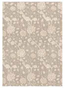Crystal Art Gallery  Carpet 2-1/2 Foot x 7 Foot Kalini Floral Natural Washable And Nonslip